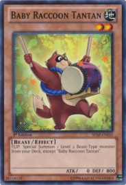 Baby Raccoon Tantan - shsp-en015