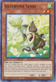 Silvervine Senri - bach-en031