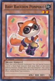 Baby Raccoon Ponpoko - shsp-en014