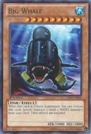 Big Whale - ltgy-en008