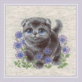 Borduurpakket - Lop-eared Kitten - Riolis