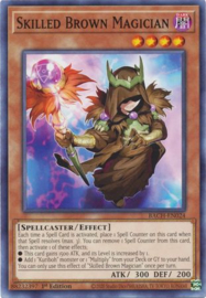 Skilled Brown Magician - bach-en024