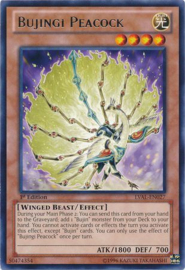 Bujingi Peacock - lval-en027