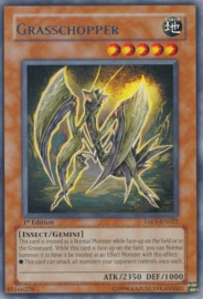Grasschopper - taev-en022