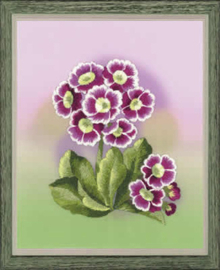 Borduurpakket - Primroses - Riolis