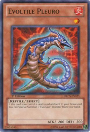 Evoltile Pleuro - orcs-en025
