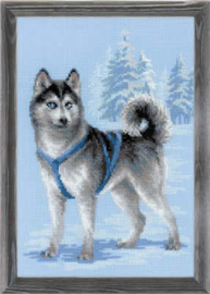 Borduurpakket Husky - RIOLIS