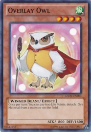 Overlay Owl - gaov-en003