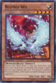 Bujingi Ibis - shsp-en024
