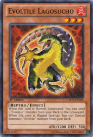 Evoltile Lagosucho - gaov-en026
