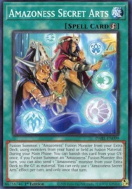 Amazoness Secret Arts - dabl-en099
