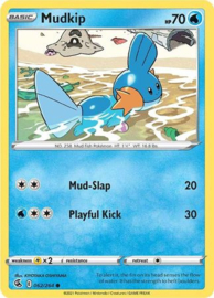 Mudkip - 062/264