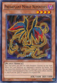 Predaplant Moray Nepenthes - inov-en007
