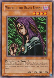 Witch of the Black Forest - ske-020