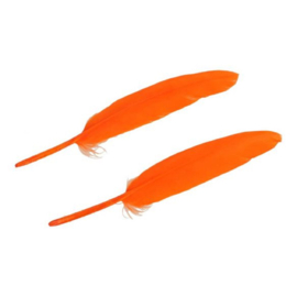 Veren Oranje - 11-15cm - 20 Stuks