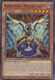 Raidraptor - Mimicry Lanius - cros-en017