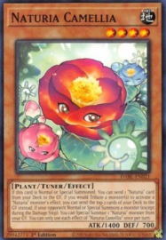 Naturia Camellia - dabl-en021