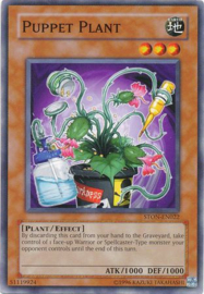 Puppet Plant - ston-en022