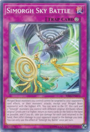 Simorgh Sky Battle - rira-en073