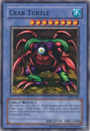 Crab Turtle - mrl-e069