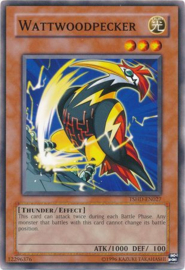 Wattwoodpecker - tshd-en027