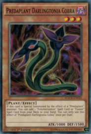 Predaplant Darlingtonia Cobra - macr-en010