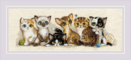Borduurpakket - Kittens - Riolis