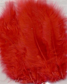 Marabou veren rood