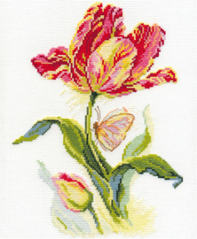 Tulpen