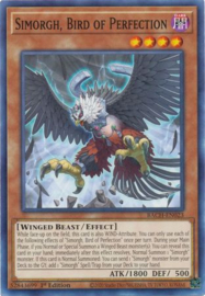 Simorgh, Bird of Perfection - bach-en023