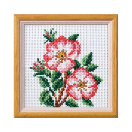 Borduurpakket - Rood-Witte Bloemetjes - Orchidea