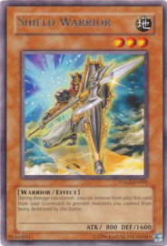 Shield Warrior - tdgs-en005