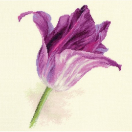 Borduurpakket Tulips, Lilac velvet - Alisa