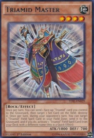 Triamid Master - tdil-en029