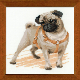 Borduurpakket Pug Dog - Riolis