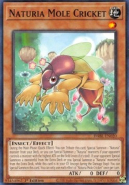 Naturia Mole Cricket - dabl-en020