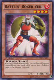 Battlin' Boxer Veil - prio-en009