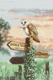 Borduurpakket - Barn Owl - Leti Stitch