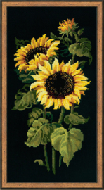 Borduurpakket - Sunflowers - Riolis