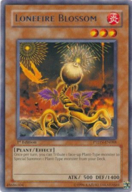 Lonefire Blossom - ptdn-en088