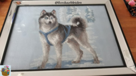 Borduurpakket Husky - RIOLIS