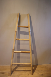 ladder bamboo