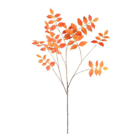 Herfsttak oranje bladeren