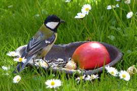 Tips voor een sfeervolle tuin/balkon