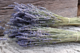 lavendel in bundel