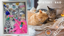 7delige Mystery bag (gevuld  met geurexplosie)