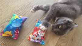 NIEUW/ 2 Snuffelzakjes Vrolijke Kat (gevuld met geurexplosie)