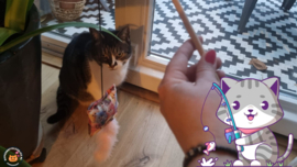 Pakmedan Fantasy Cats met roze staart (gevuld met geurexplosie, knisper en belletje)