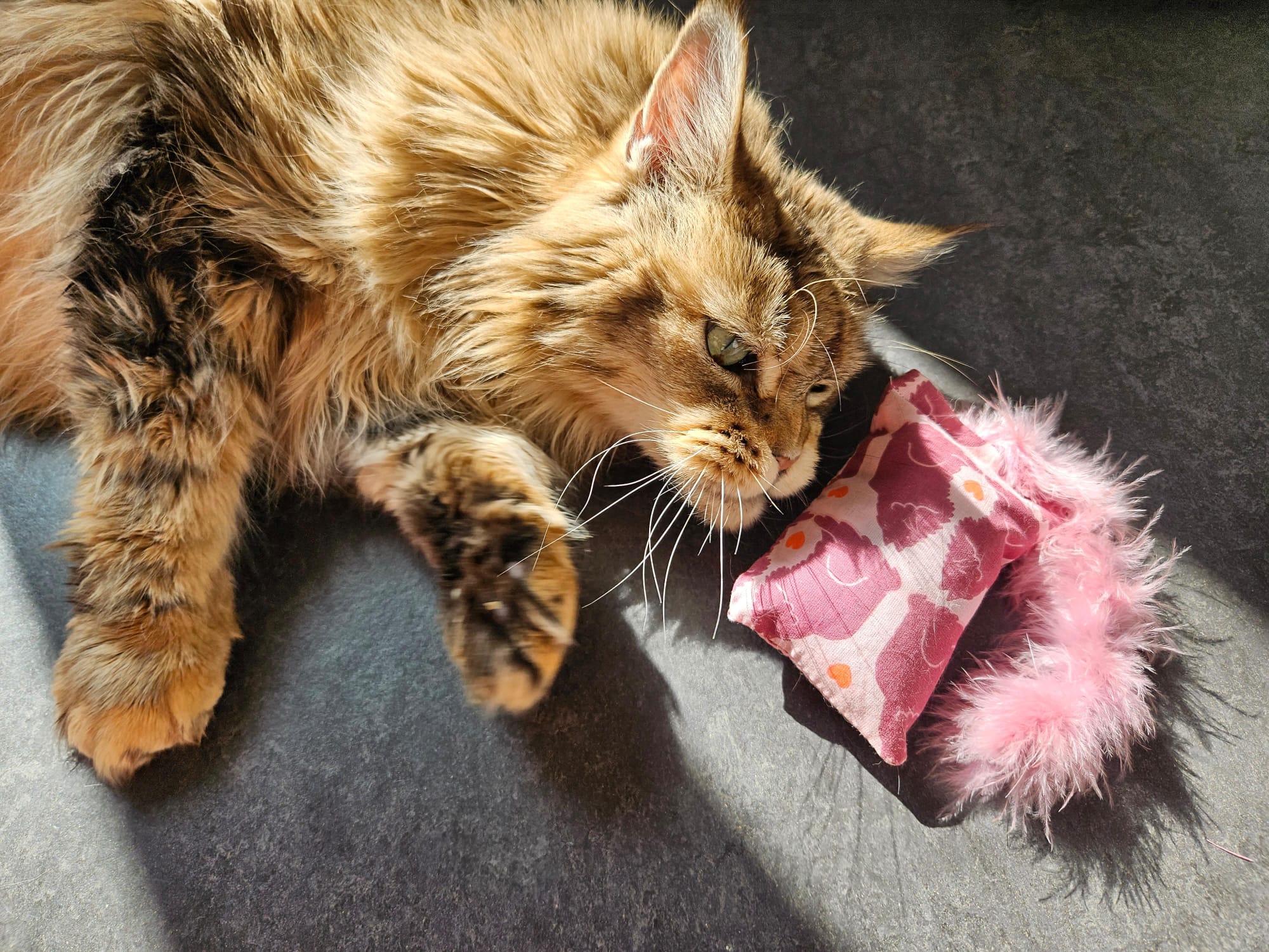 NIEUW/ Snuffelzakje  Verliefde katten met staart (gevuld met geurexplosie)