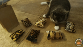 UNIEK 6 VERSCHILLENDE GEUREN / 6 delige kennismakkingspakket snuffelzakjes Wild animals